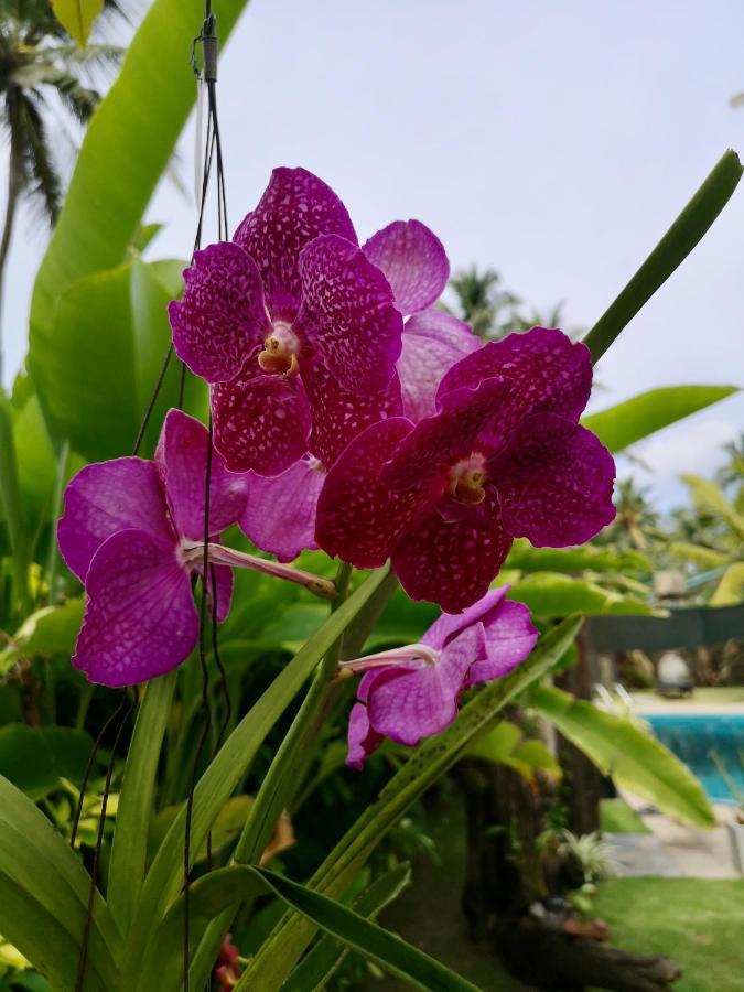 Thoduwawa Beach Villa Paiyagala Екстер'єр фото